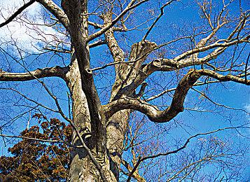 任天堂FC风格Switch手柄或将迎来可USB充电版本