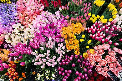 《星球大战绝地：幸存者》偷跑 EA呼吁玩家别剧透